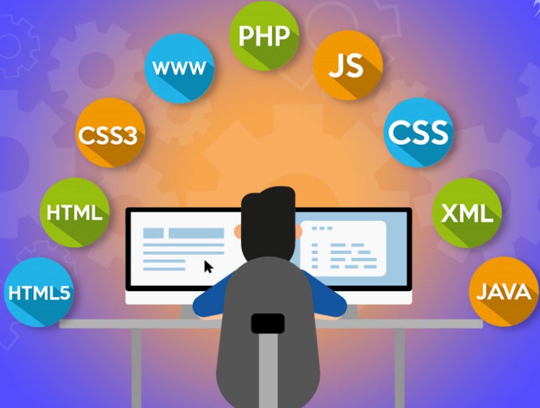 Web Programming | Online SEO King